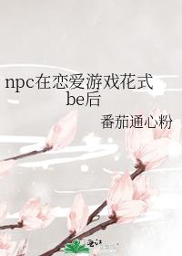 npcϷʽbe