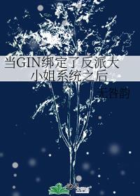 GIN˷ɴСϵͳ֮